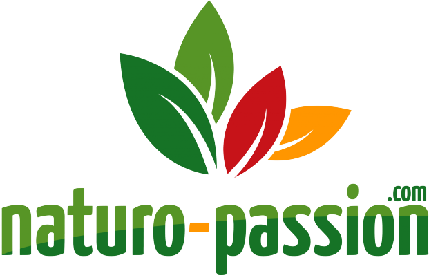 Le Régime Seignalet En 60 Recettes Pdf Gratuit